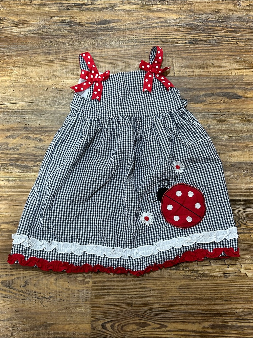 Rare Editions Seersucker Ladybug Dress With Bows